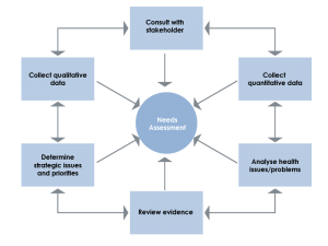 Needs Assessment Process-01