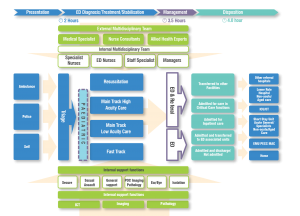 Models_of_Care_Diagram_RM6__Editable (2)-01